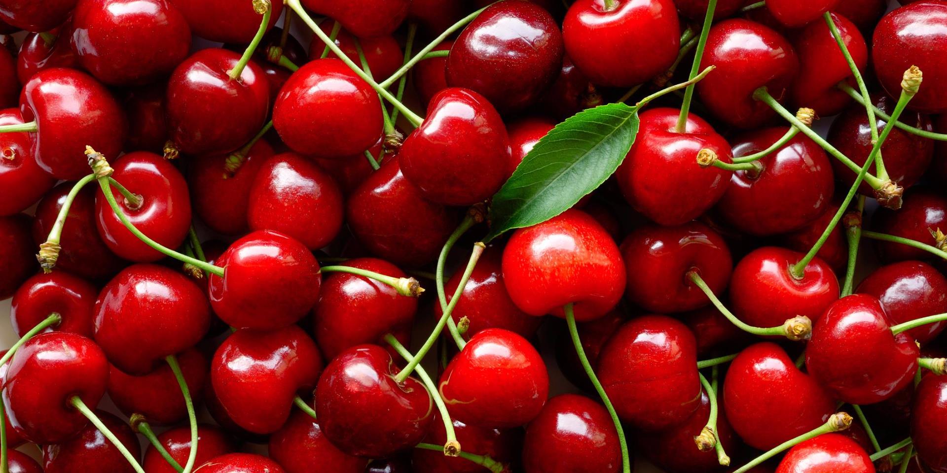 الكرز وفوائده
